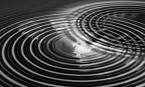Site web David Taron